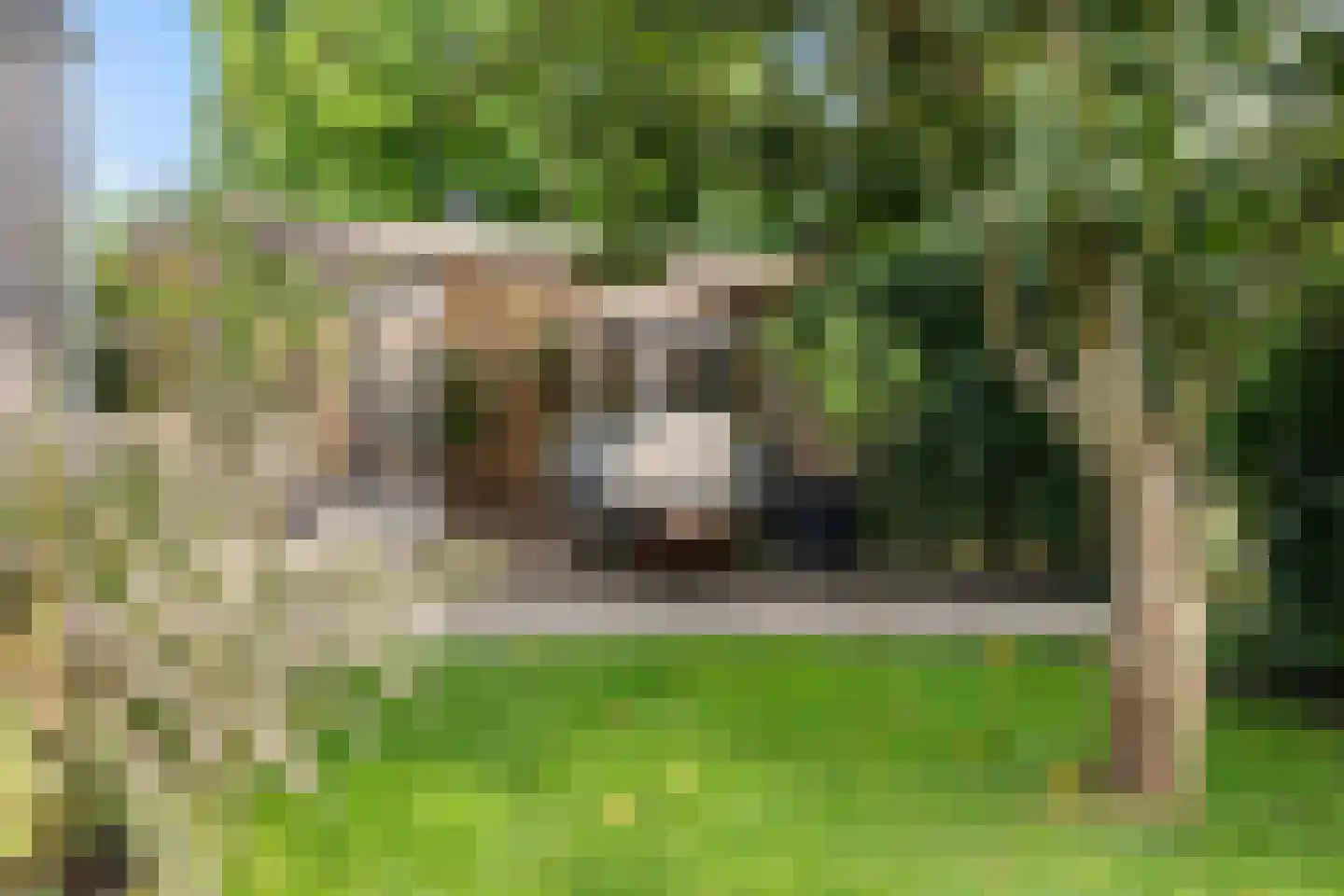 De Vuurjuffer 3 Eelderwolde thumbnail 53