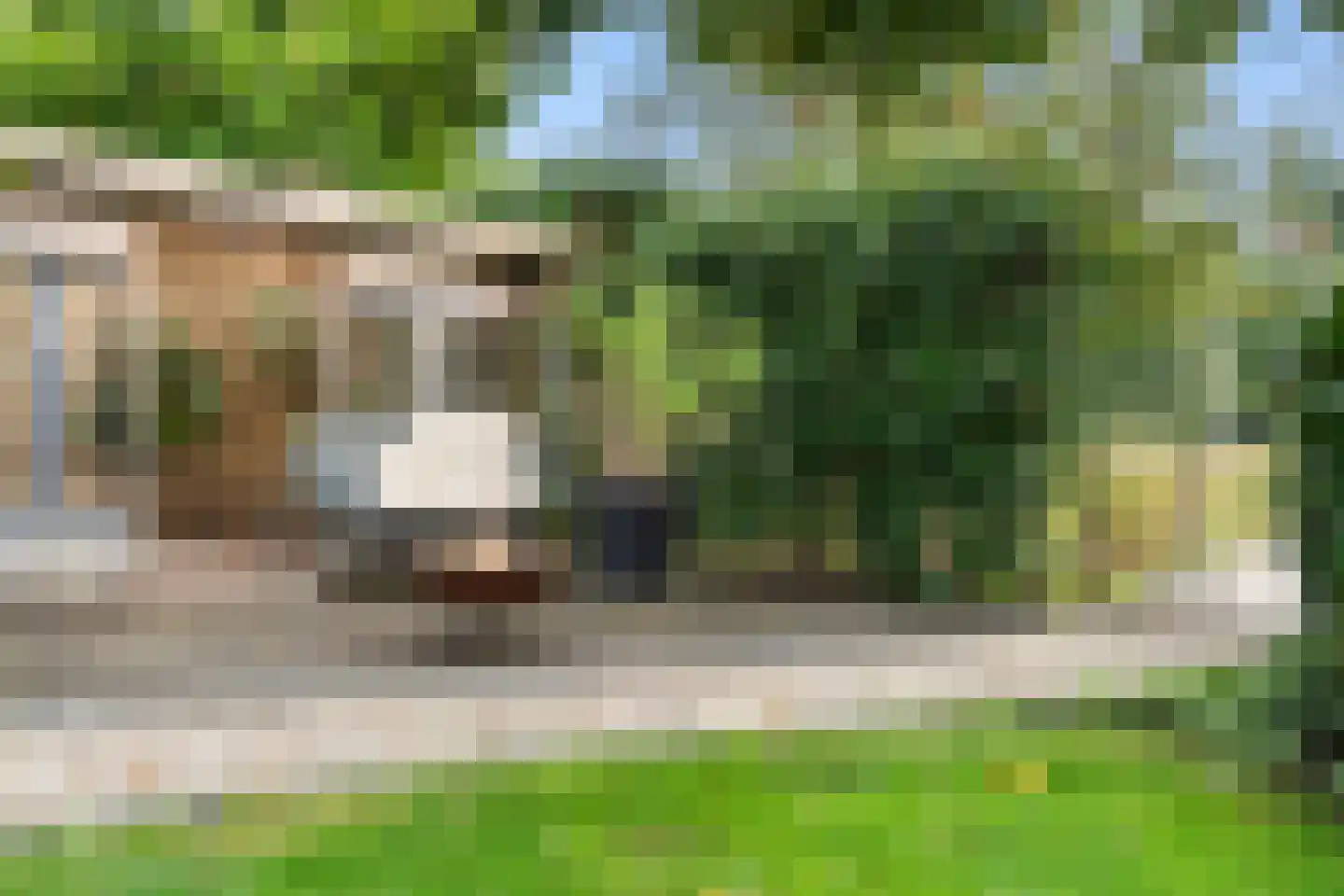 De Vuurjuffer 3 Eelderwolde thumbnail 54