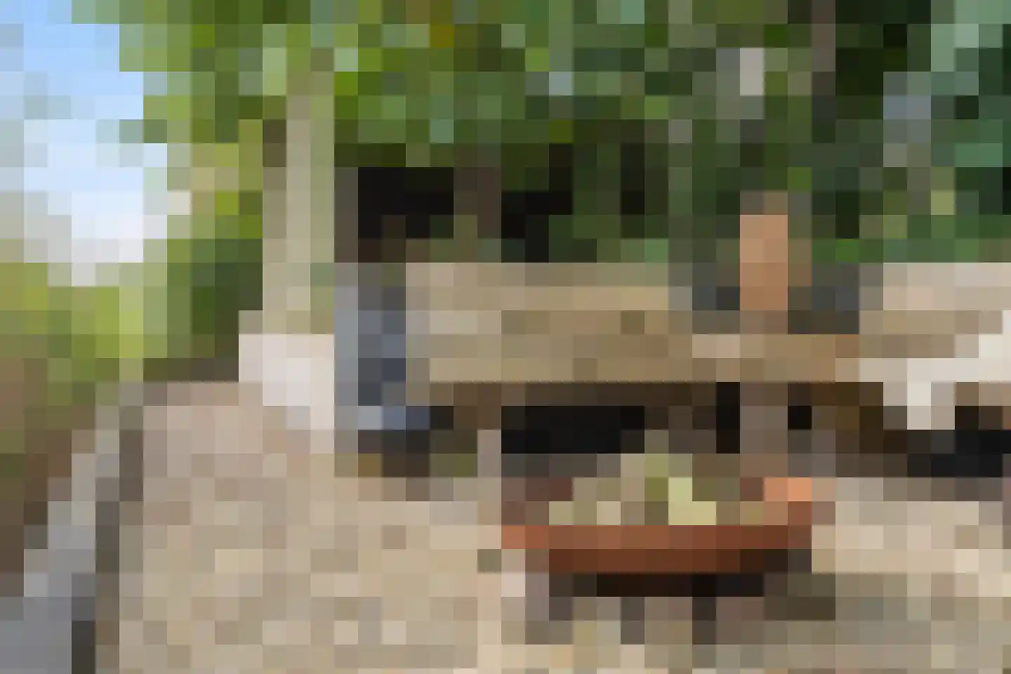 De Vuurjuffer 3 Eelderwolde thumbnail 56