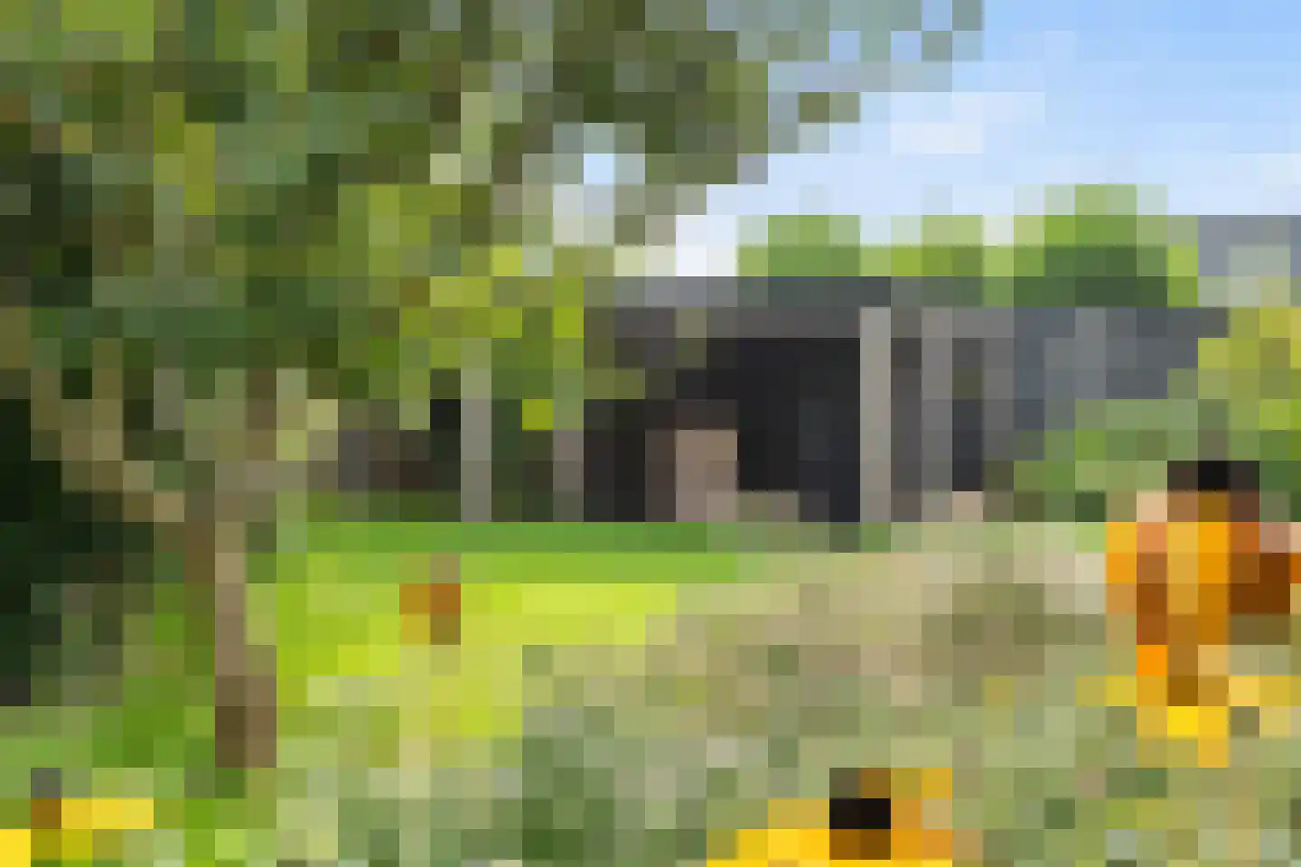 De Vuurjuffer 3 Eelderwolde thumbnail 57