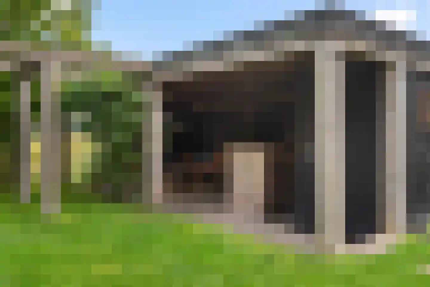 De Vuurjuffer 3 Eelderwolde thumbnail 60