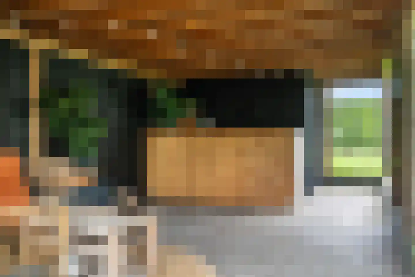 De Vuurjuffer 3 Eelderwolde thumbnail 62
