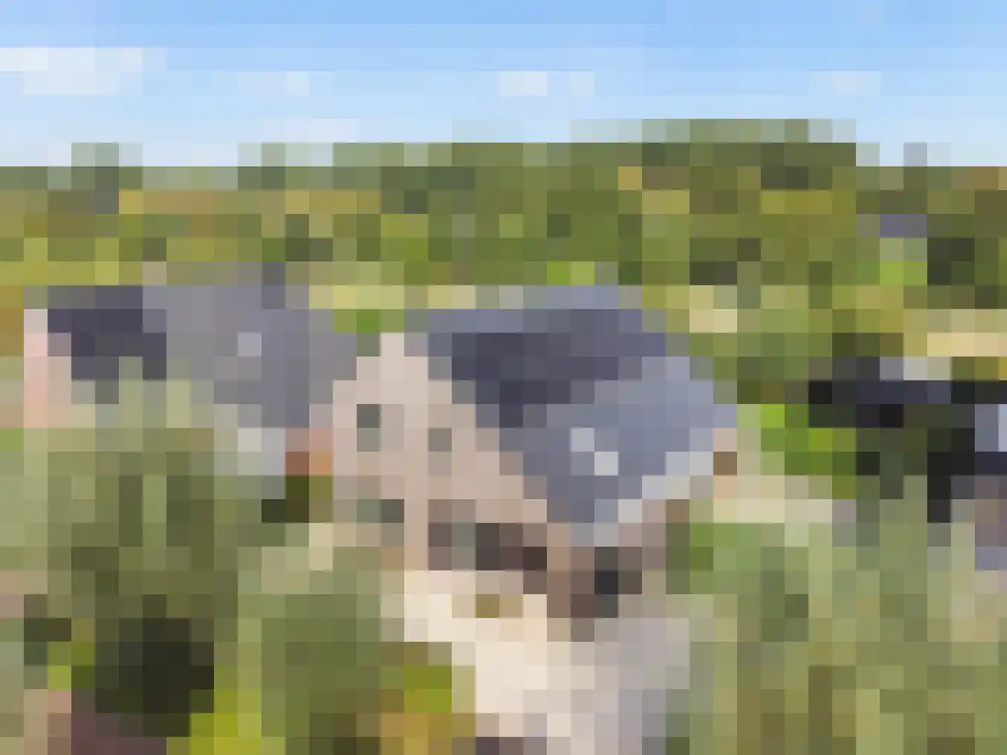 De Vuurjuffer 3 Eelderwolde thumbnail 64