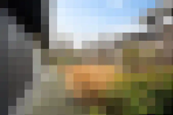 De Vuurjuffer 6 Eelderwolde thumbnail 39