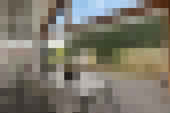 De Vuurjuffer 6 Eelderwolde thumbnail 42