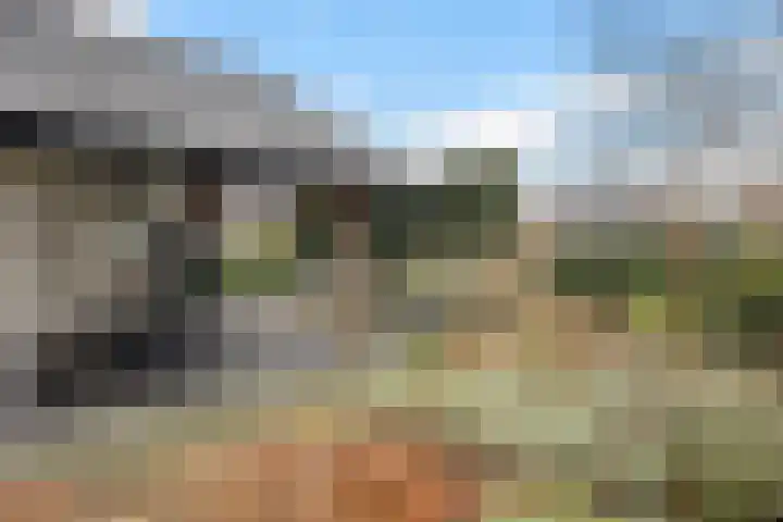 De Vuurjuffer 6 Eelderwolde thumbnail 43