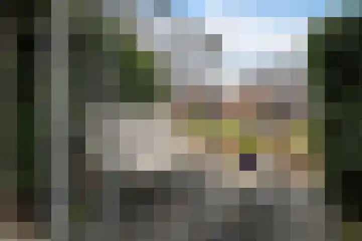 De Vuurjuffer 6 Eelderwolde thumbnail 44