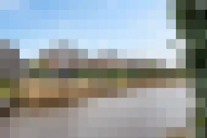 De Vuurjuffer 6 Eelderwolde thumbnail 45
