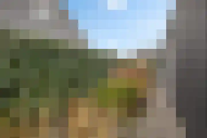 De Vuurjuffer 6 Eelderwolde thumbnail 48