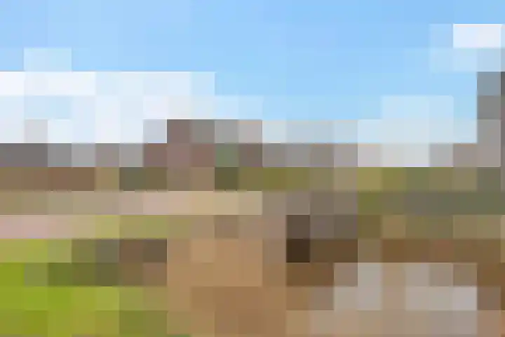 De Vuurjuffer 6 Eelderwolde thumbnail 5