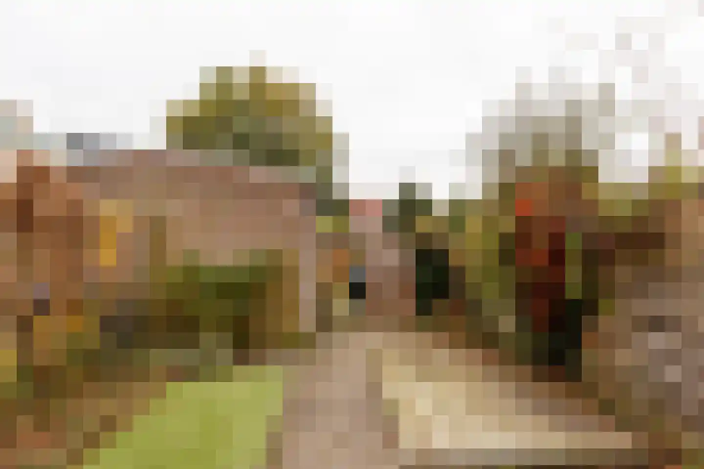 De Vuursche 116 Vleuten thumbnail 20