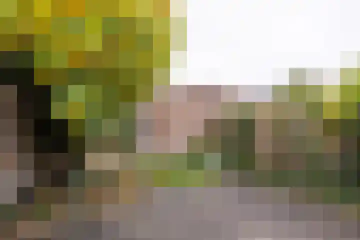 De Vuursche 122 Vleuten thumbnail 15