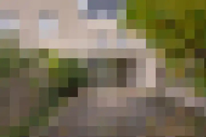 De Vuursche 122 Vleuten thumbnail 16