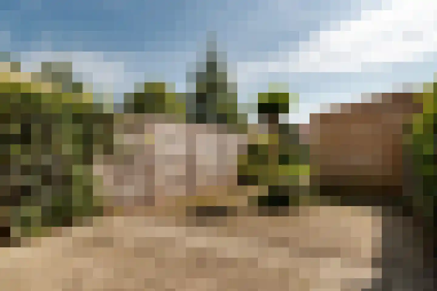 De Vuursche 126 Vleuten thumbnail 7