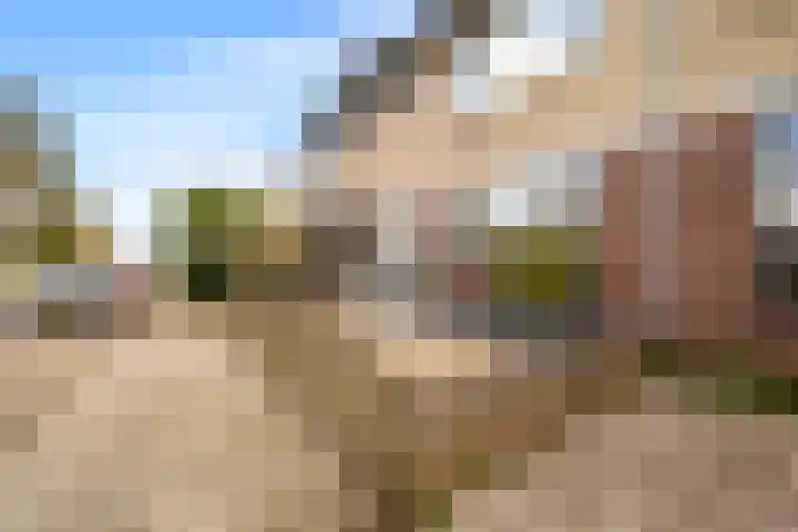 De Vuyk 30 Oudorp thumbnail 32