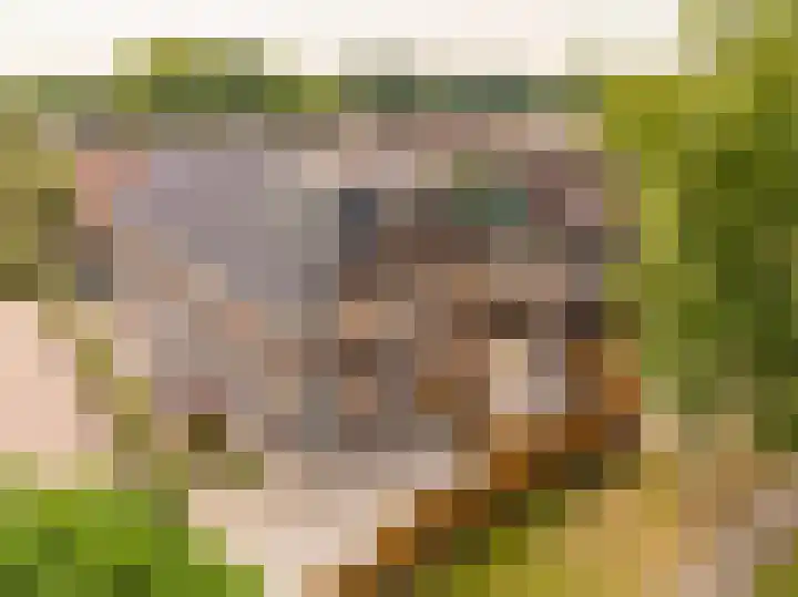 De Waag 17 Veeningen thumbnail 37