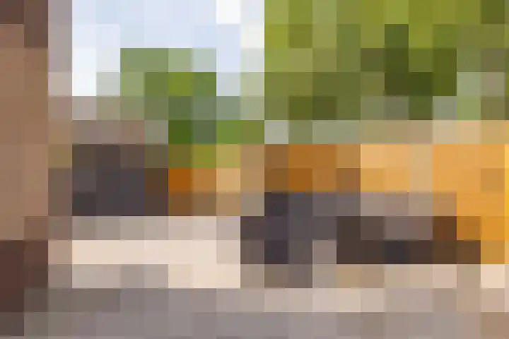 De Waag 17 Veeningen thumbnail 40