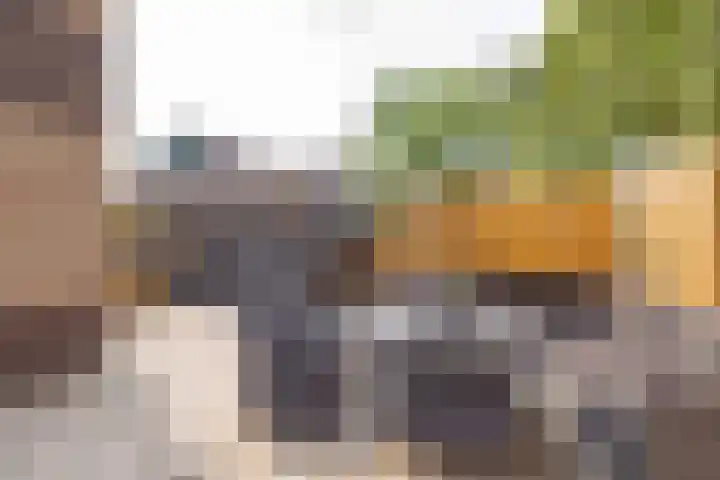 De Waag 17 Veeningen thumbnail 41