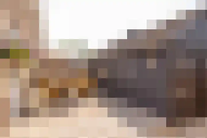 De Waag 17 Veeningen thumbnail 44