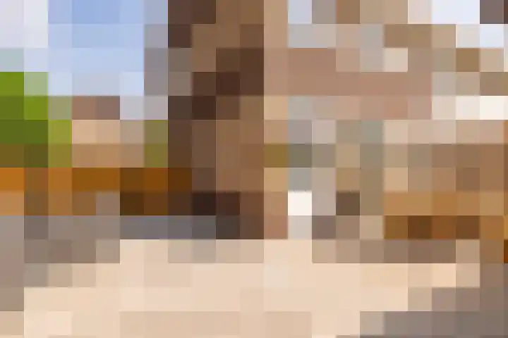 De Waag 17 Veeningen thumbnail 47