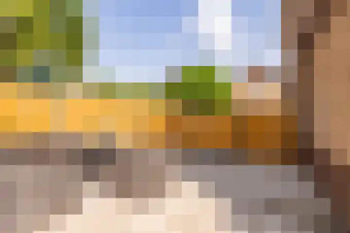 De Waag 17 Veeningen thumbnail 48