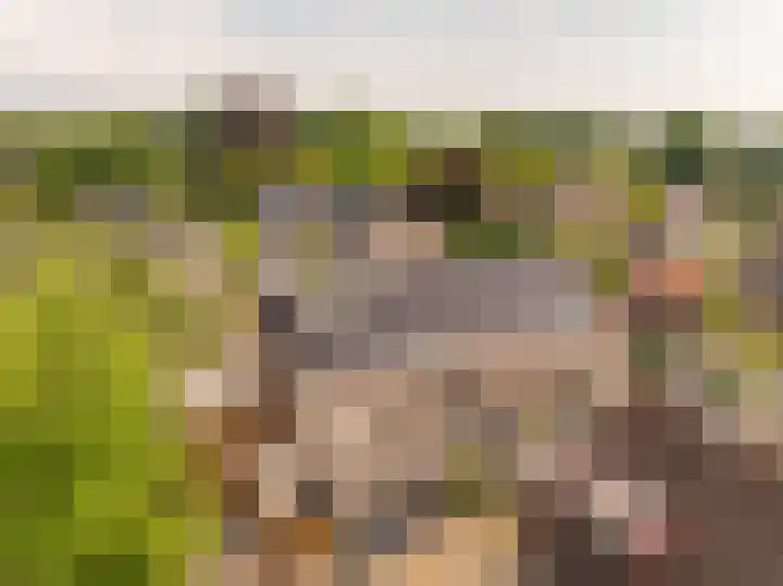 De Waag 17 Veeningen thumbnail 5