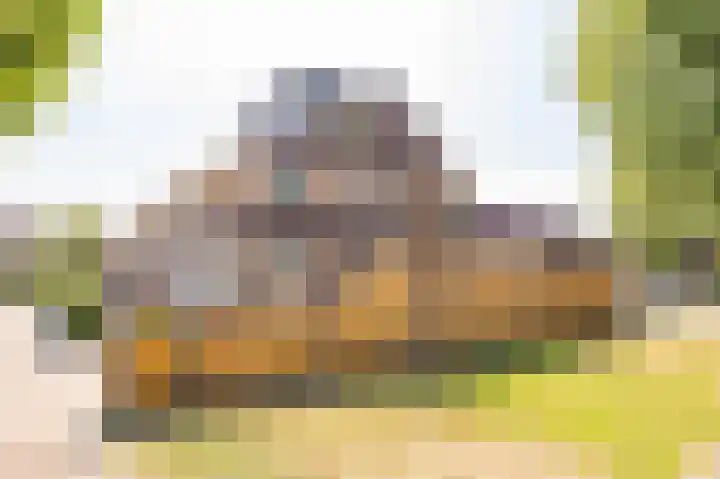 De Waag 17 Veeningen thumbnail 50