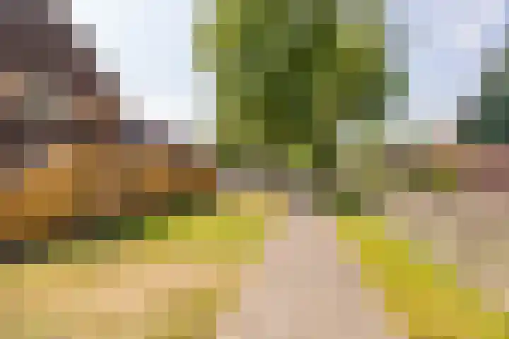 De Waag 17 Veeningen thumbnail 51