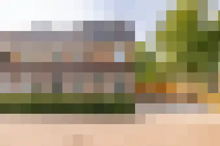 De Waag 17 Veeningen thumbnail 53