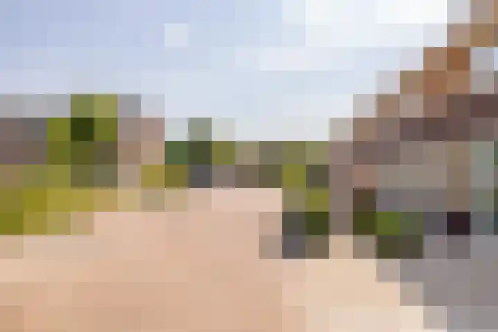 De Waag 17 Veeningen thumbnail 58