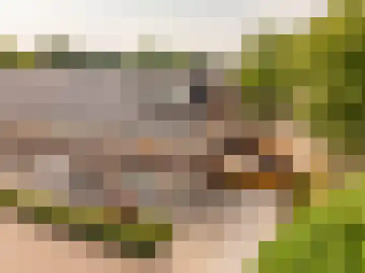 De Waag 17 Veeningen thumbnail 6