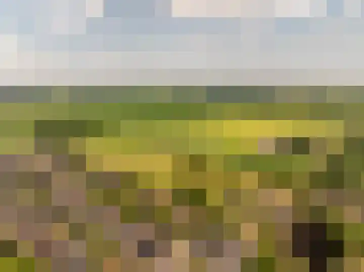 De Waag 17 Veeningen thumbnail 60