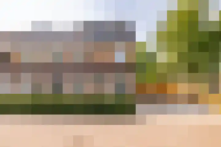 De Waag 17 Veeningen thumbnail 61