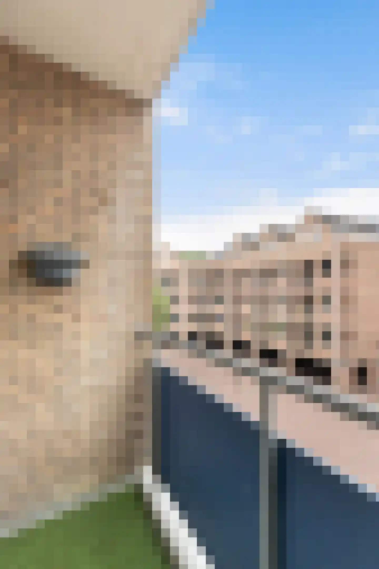 De Waag 20 Dordrecht thumbnail 23