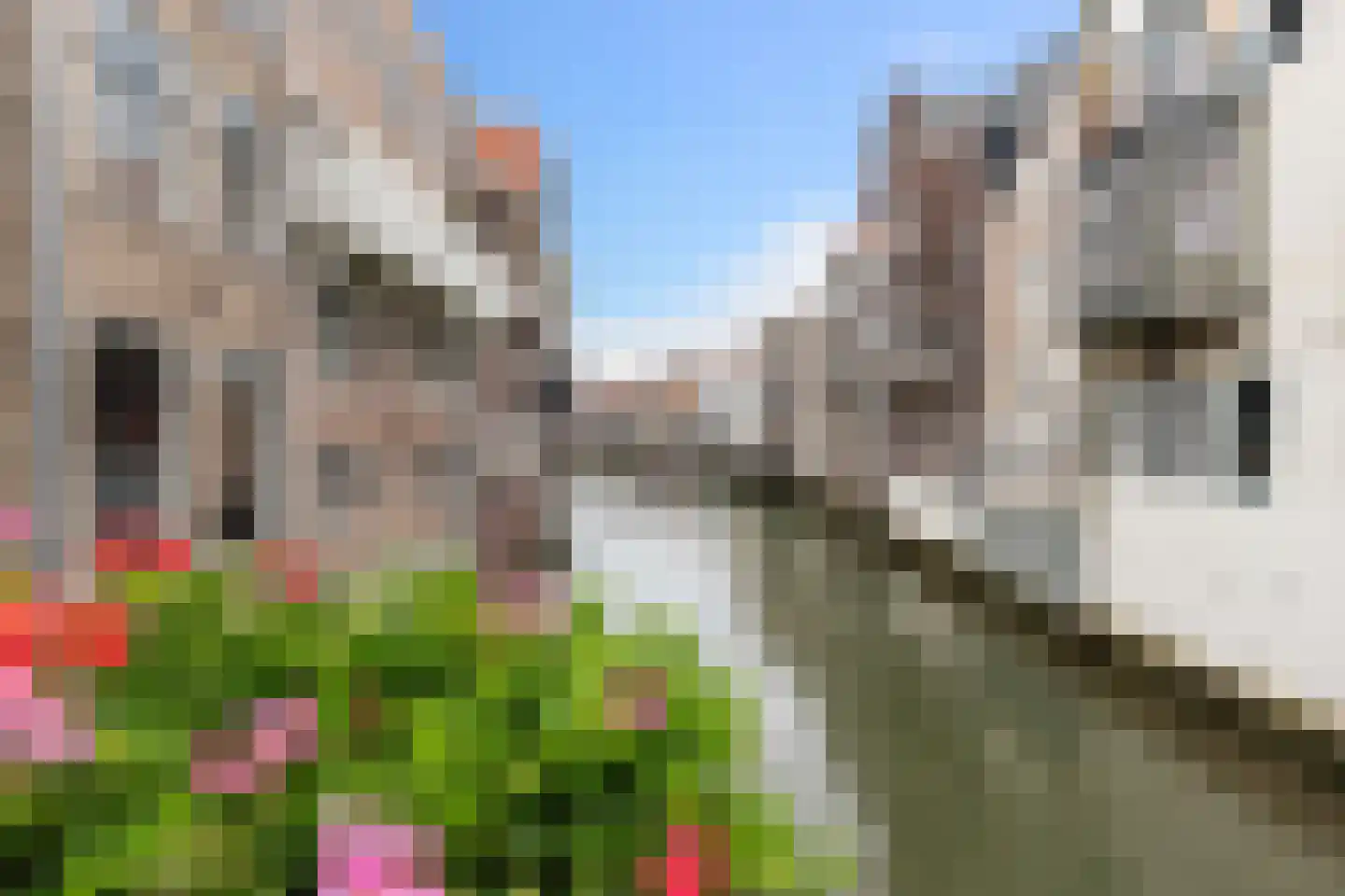 De Waag 20 Dordrecht thumbnail 4