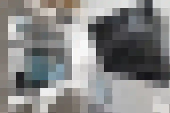 De Waag 9 Veeningen thumbnail 10
