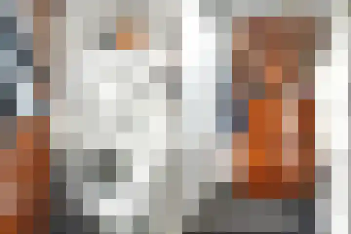 De Waag 9 Veeningen thumbnail 13