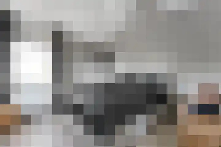 De Waag 9 Veeningen thumbnail 18