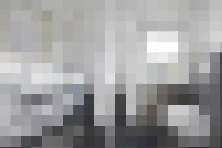 De Waag 9 Veeningen thumbnail 22
