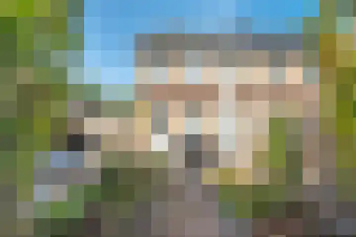 De Waag 9 Veeningen thumbnail 25