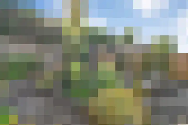 De Waag 9 Veeningen thumbnail 29