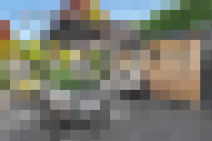 De Waag 9 Veeningen thumbnail 30