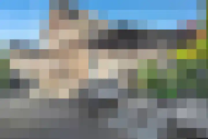 De Waag 9 Veeningen thumbnail 31