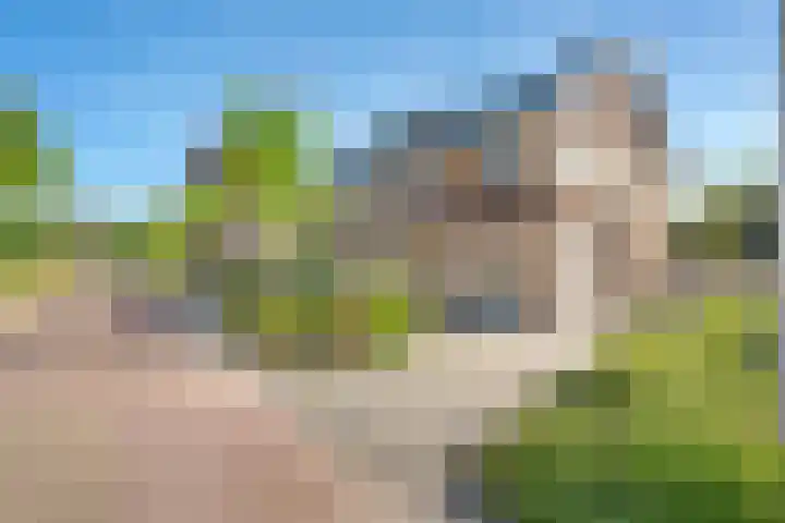 De Waag 9 Veeningen thumbnail 34