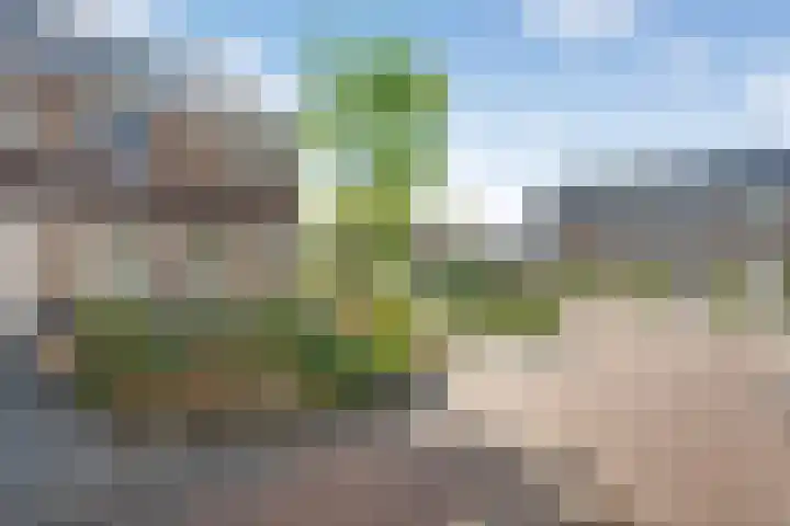 De Waag 9 Veeningen thumbnail 35
