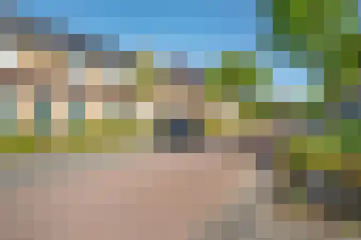 De Waag 9 Veeningen thumbnail 36