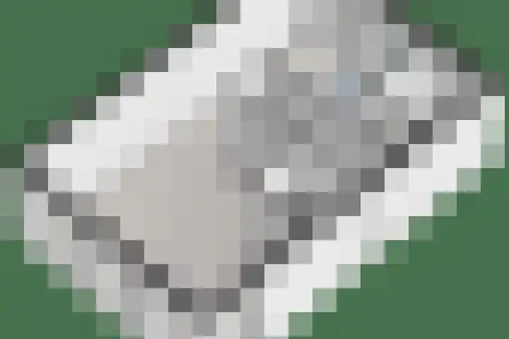 De Waag 9 Veeningen thumbnail 40