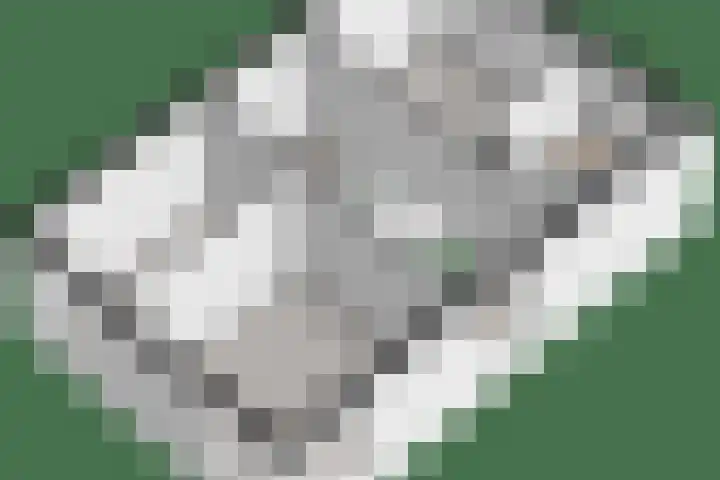 De Waag 9 Veeningen thumbnail 42
