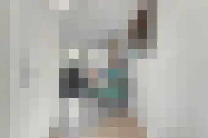 De Waag 9 Veeningen thumbnail 7