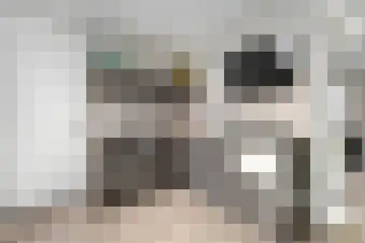 De Waag 9 Veeningen thumbnail 9